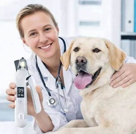 Pet led pro system recomendado por veterinarios